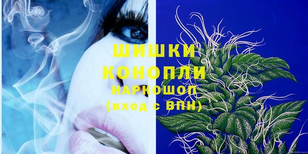 дживик Арсеньев